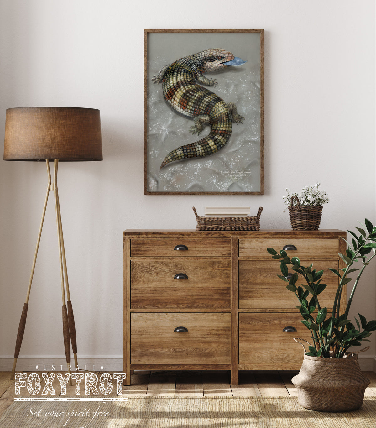 Eastern Blue Tongue Lizard