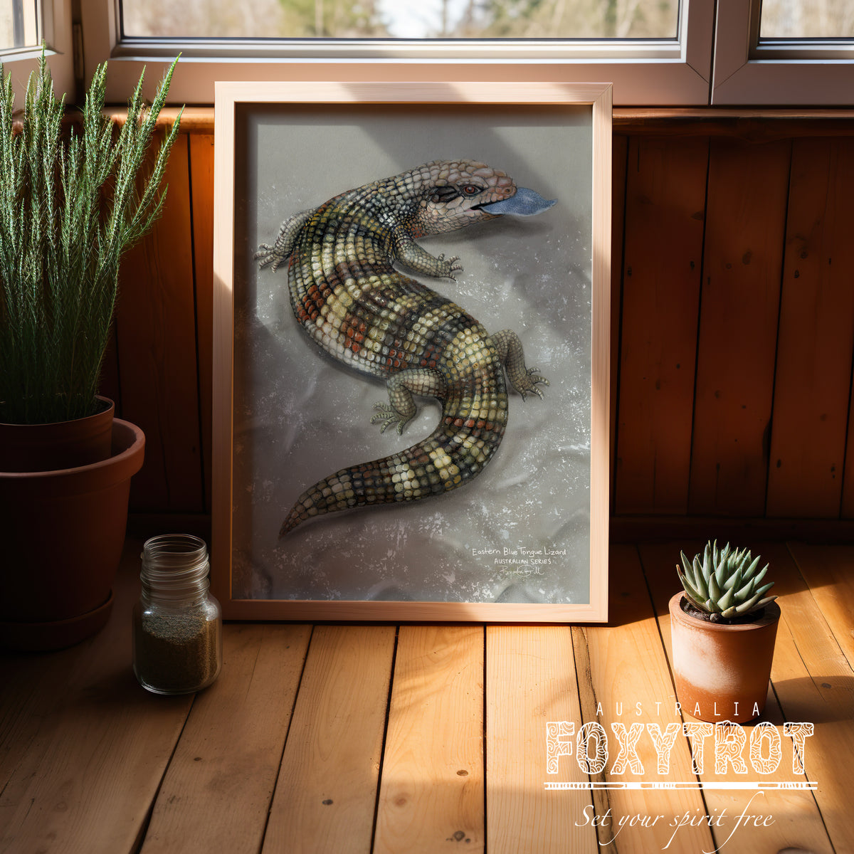 Eastern Blue Tongue Lizard