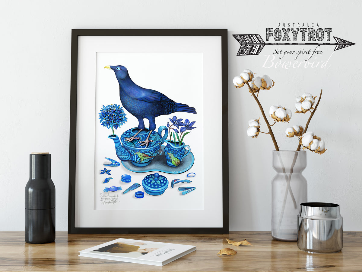 Satin Bowerbird