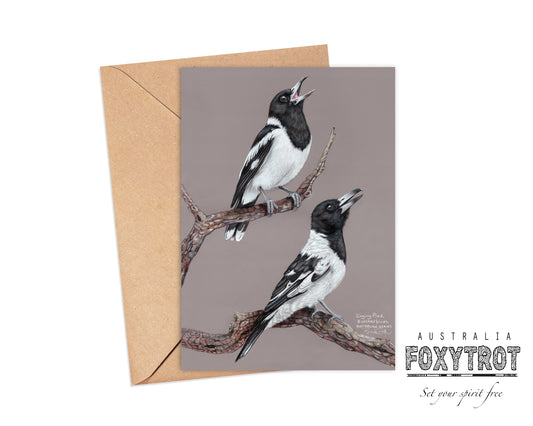 Pied Butcherbirds Card