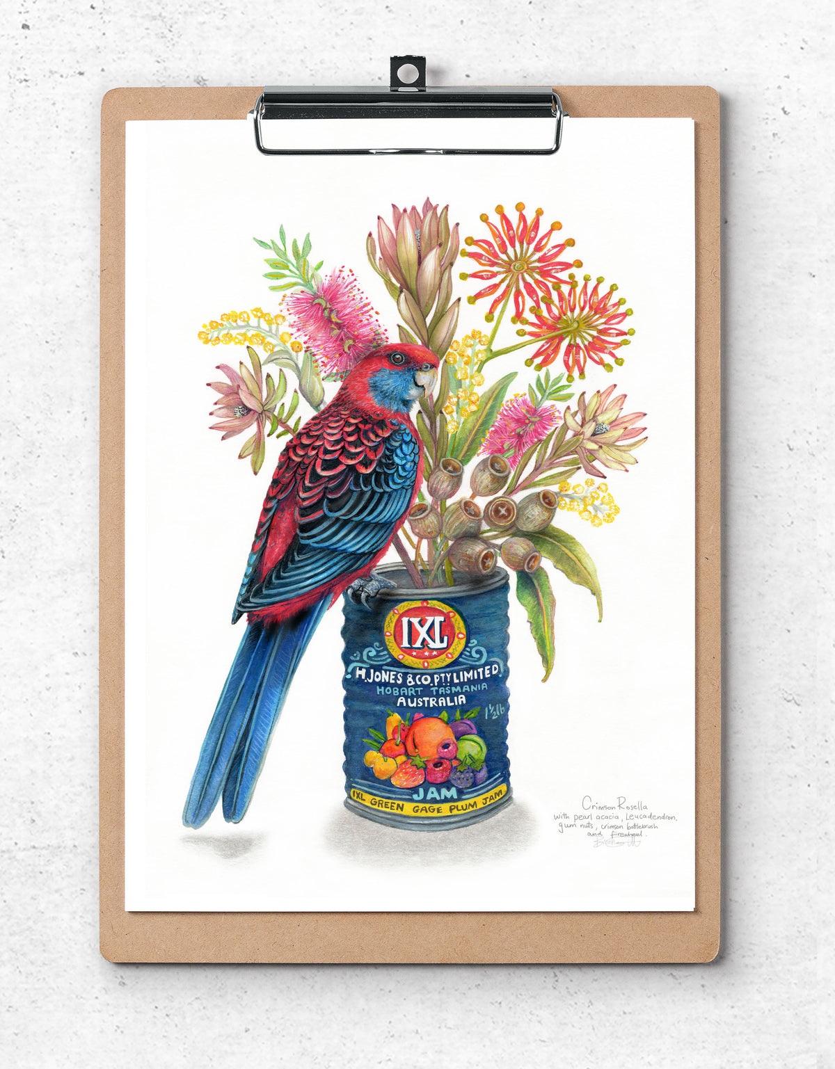 Crimson Rosella