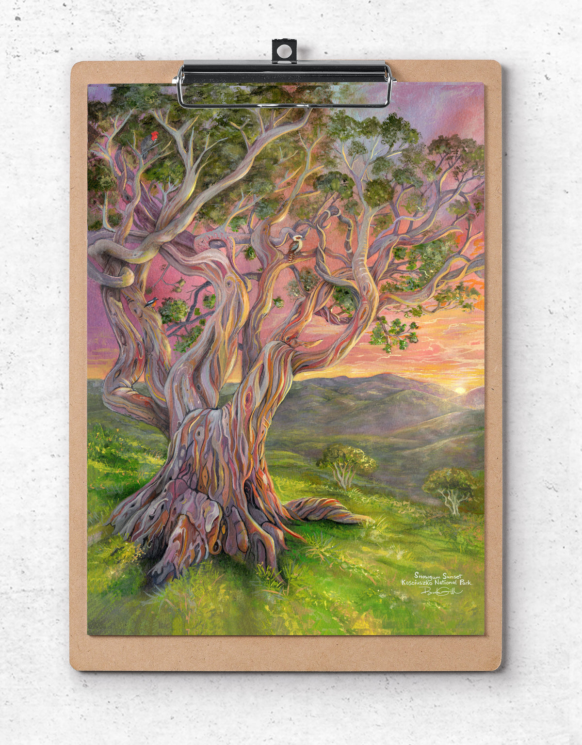 Snow Gum Sunset