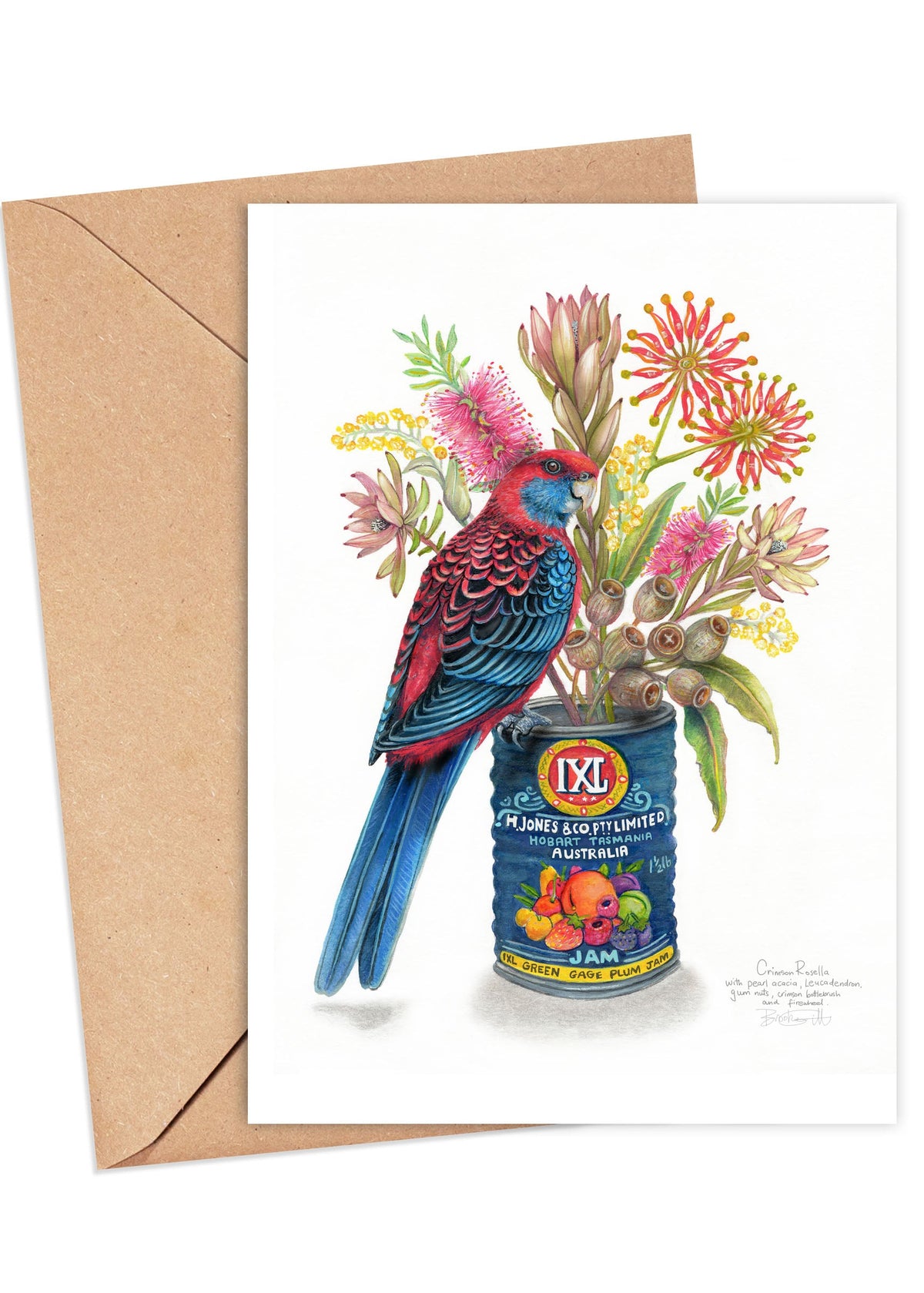 Crimson Rosella Card