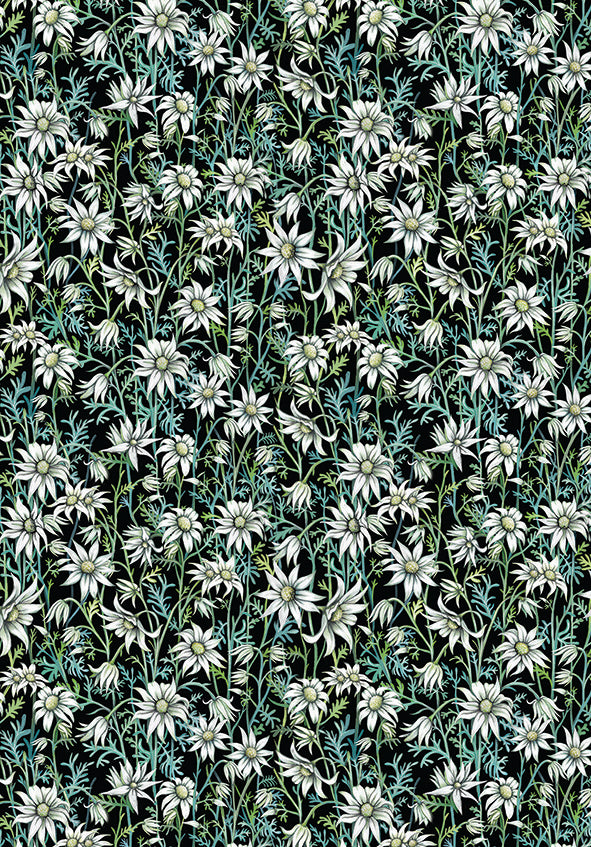 Australian made Flannel Flower wrapping Paper