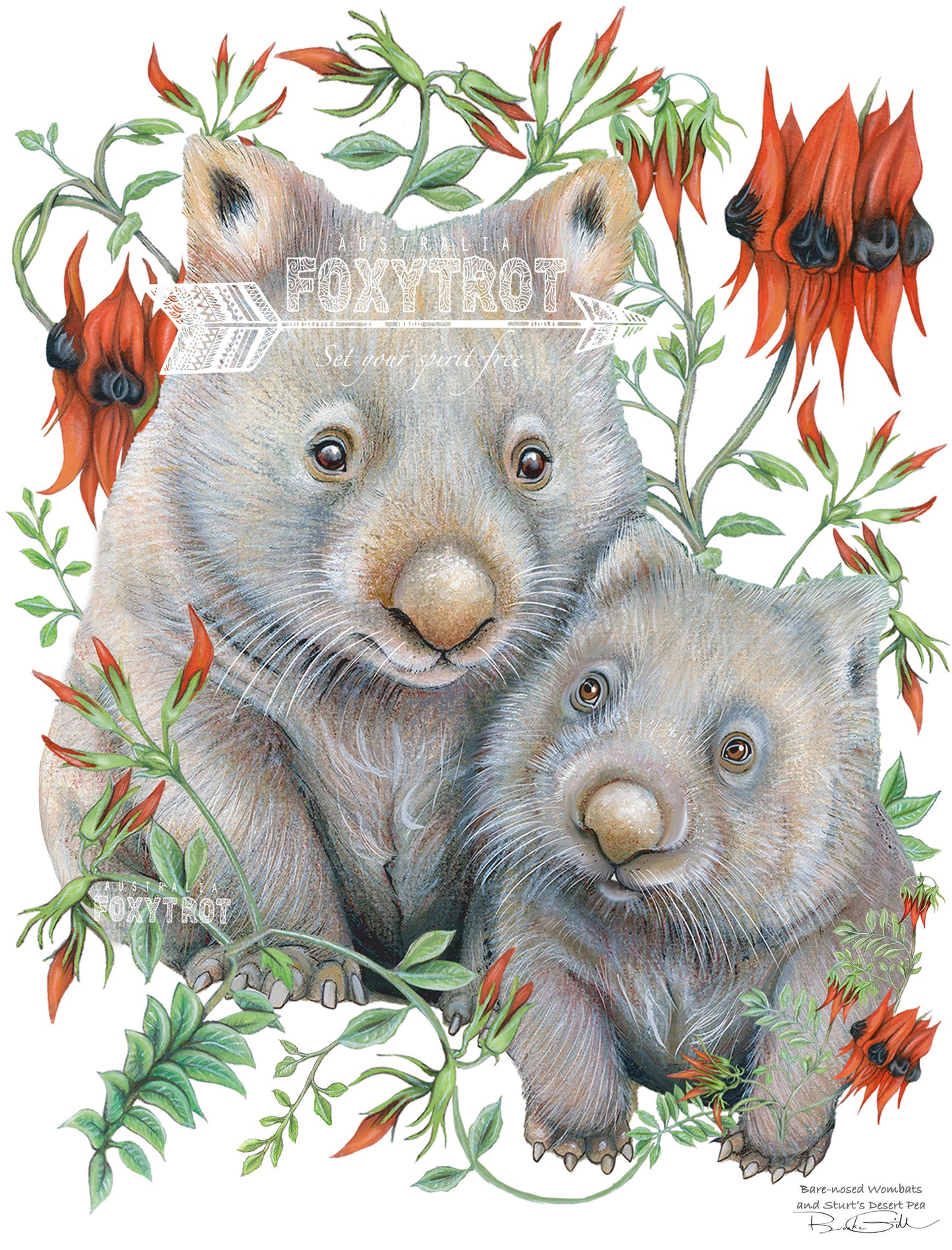 Bare Nosed Wombats Tea Towel