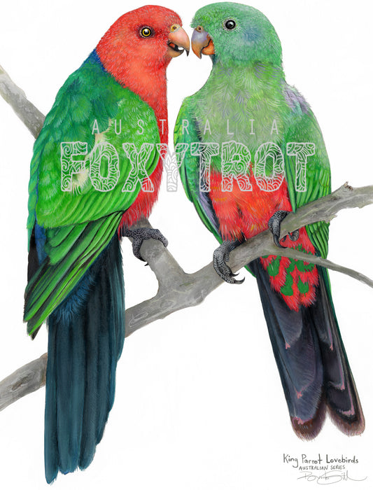 King Parrots Tea Towel