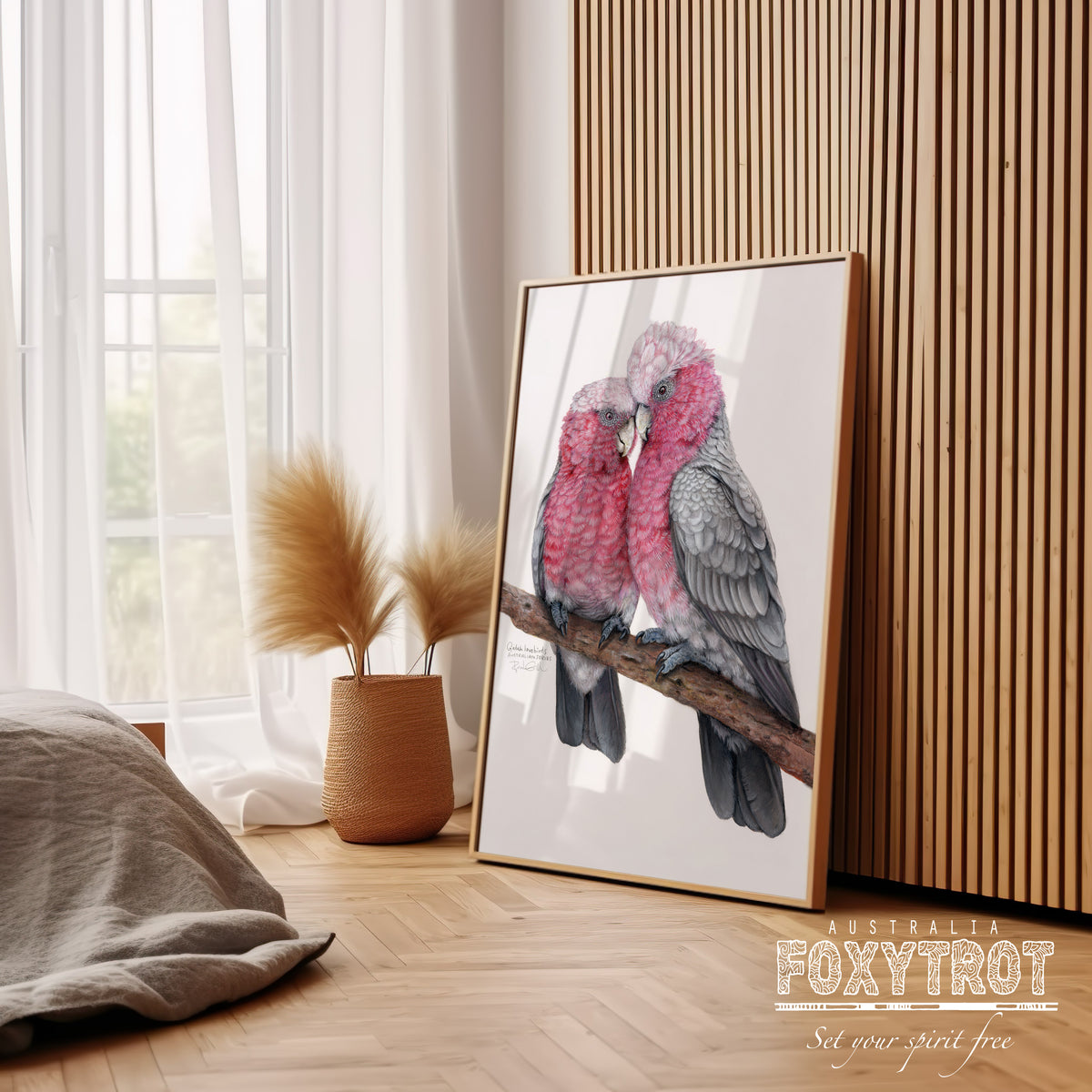 Galah Lovebirds