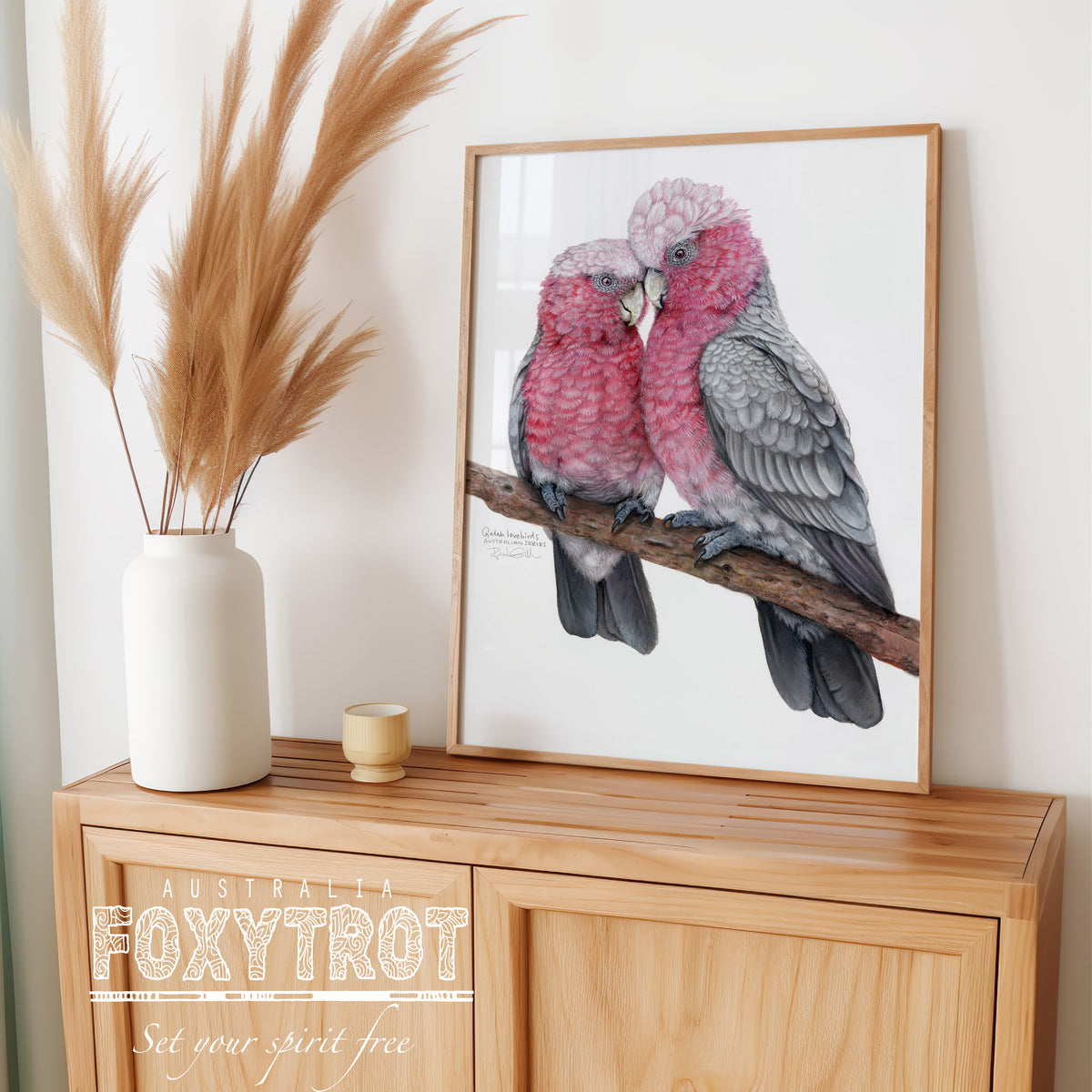 Galah Lovebirds