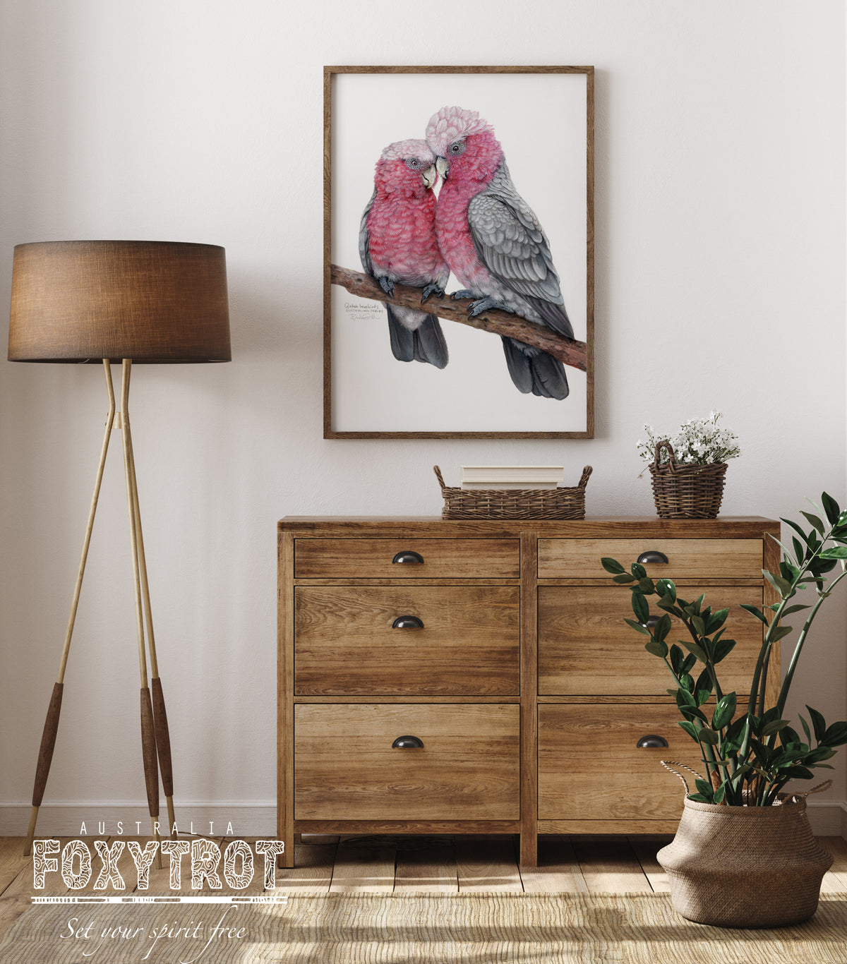 Galah Lovebirds