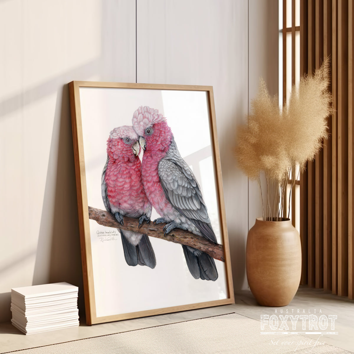 Galah Lovebirds