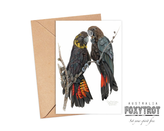 Glossy Black Cockatoos Card