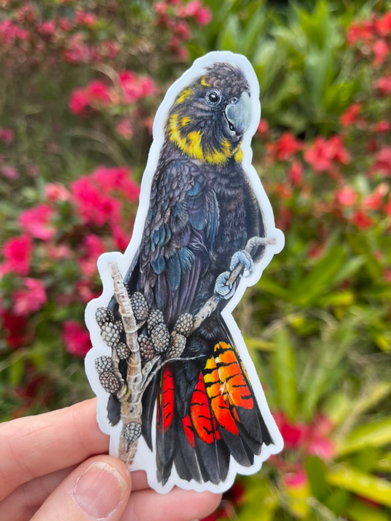 Female Glossy Black Cockatoo Vinyl Sticker