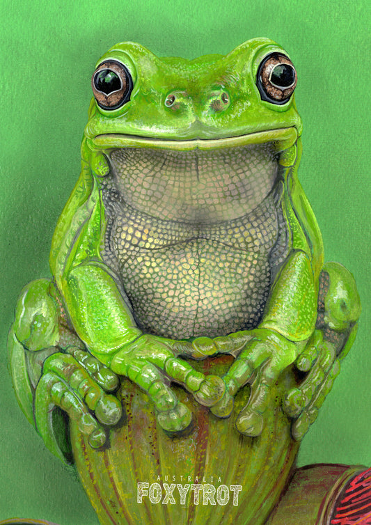 Green Tree Frog Card