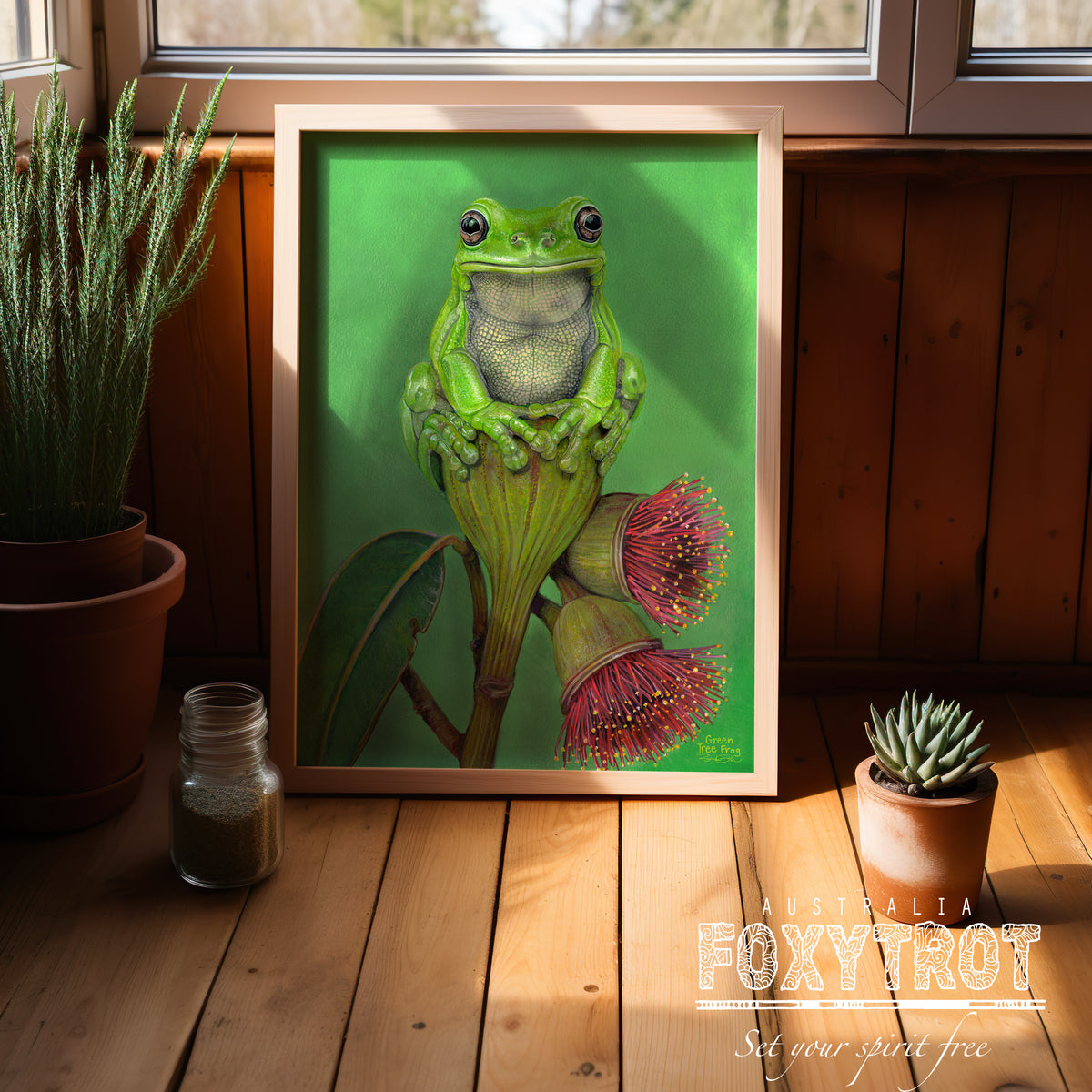 Green Tree Frog
