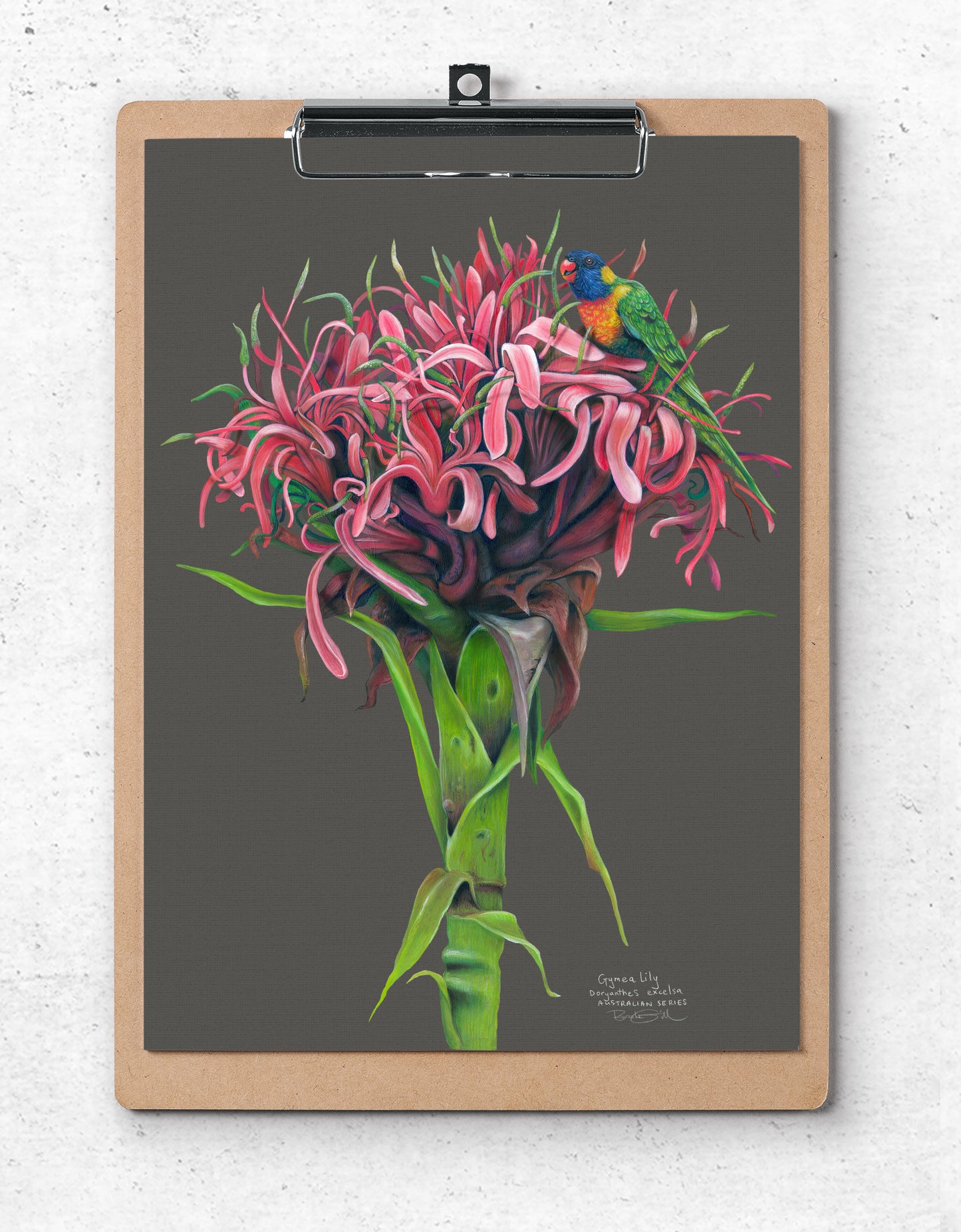 Gymea Lily