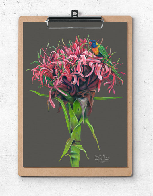 Gymea Lily