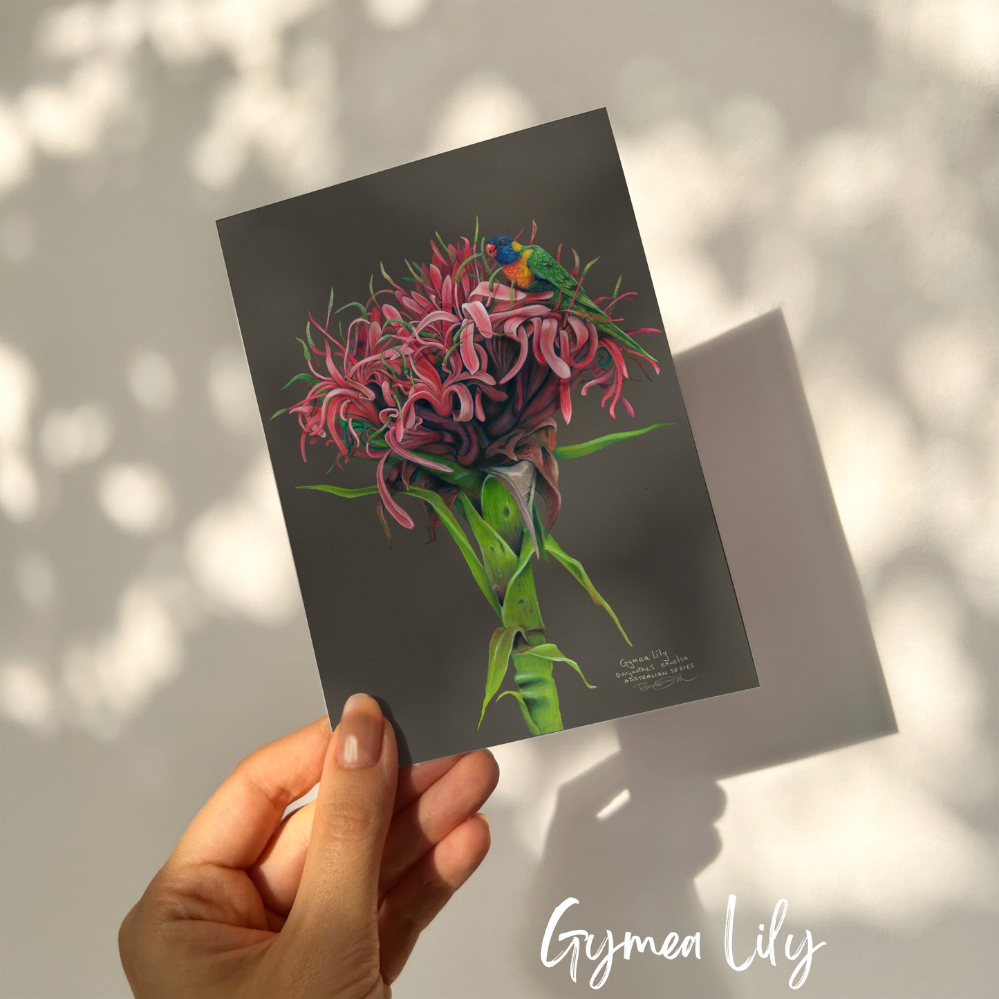 Gymea Lily Card