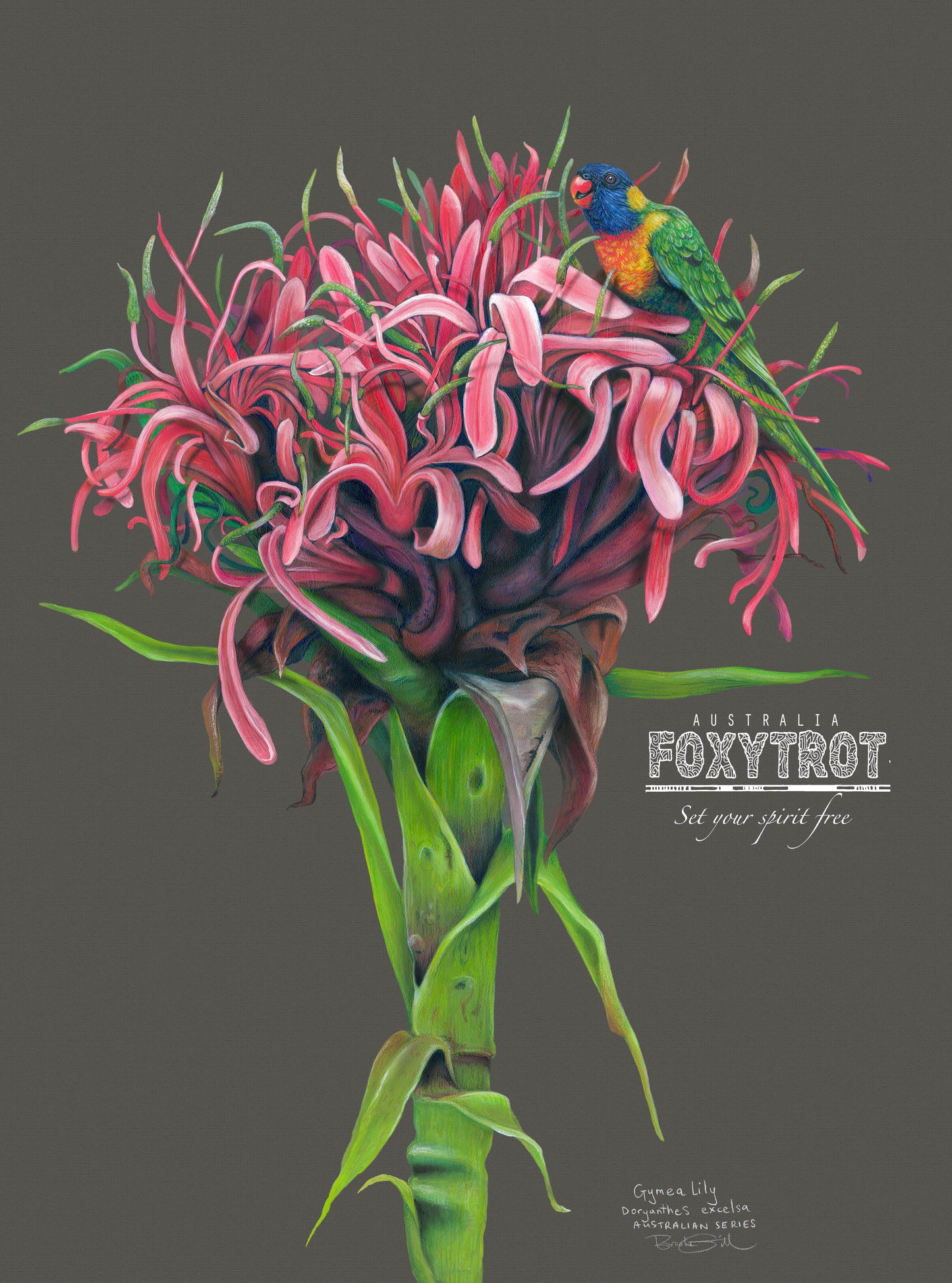 Gymea Lily
