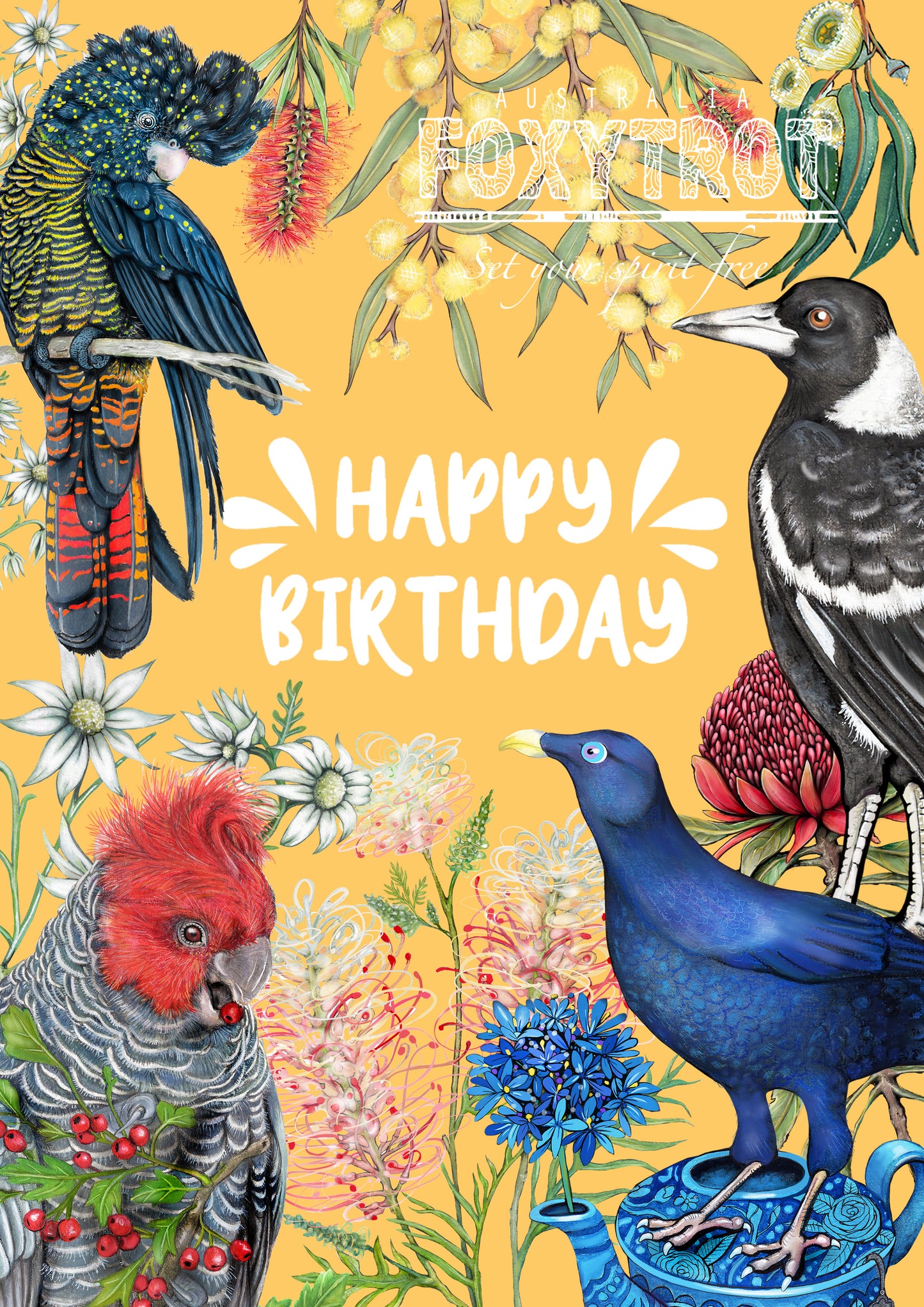 Happy Birthday Bird Card