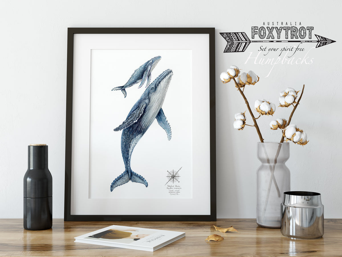 Humpback Whales