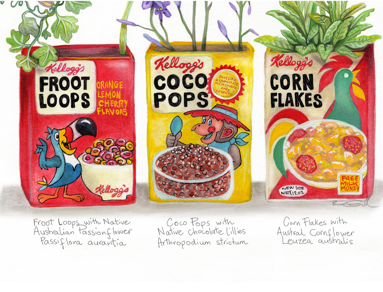 Kellogg's Variety Pack