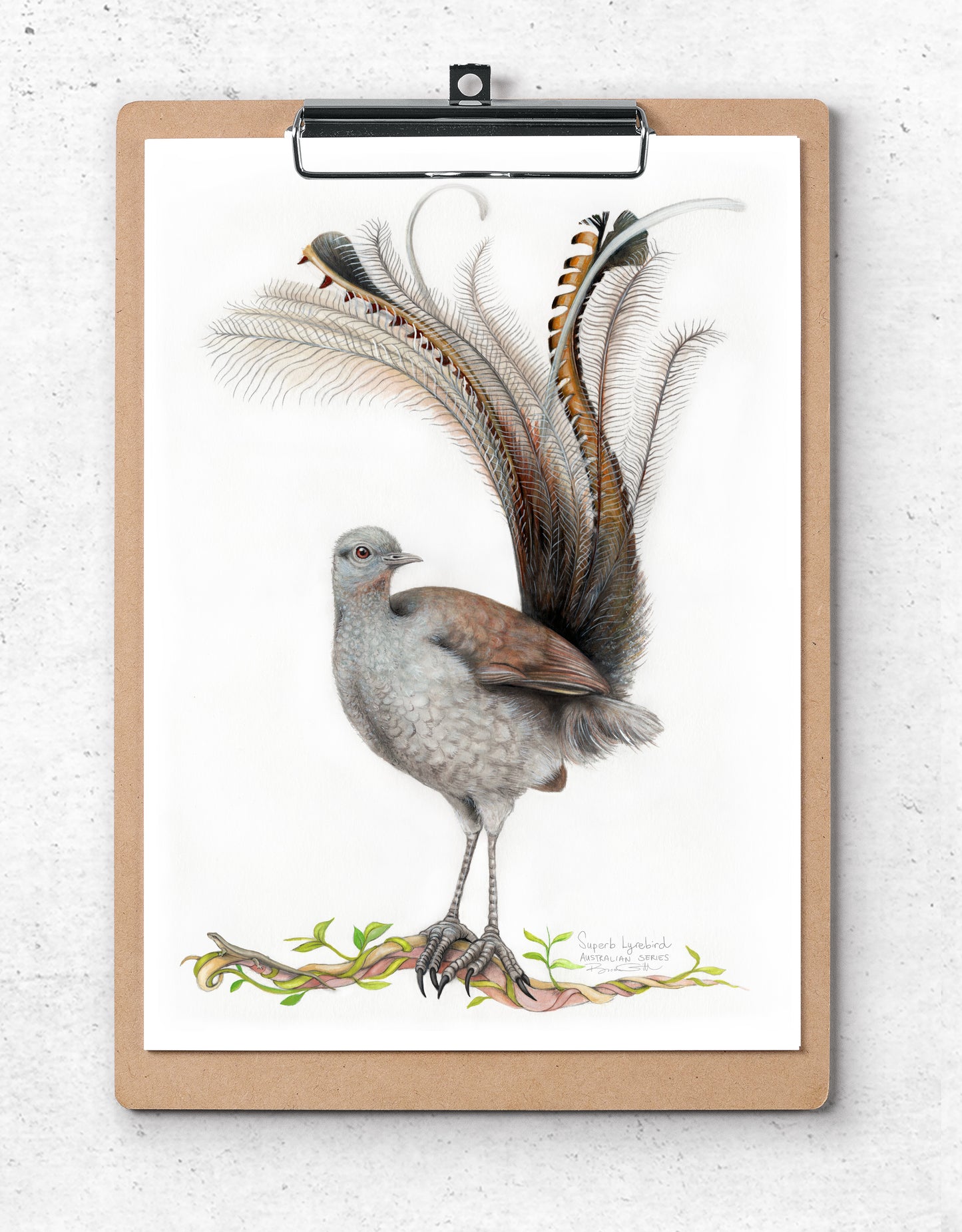 Lyrebird Card