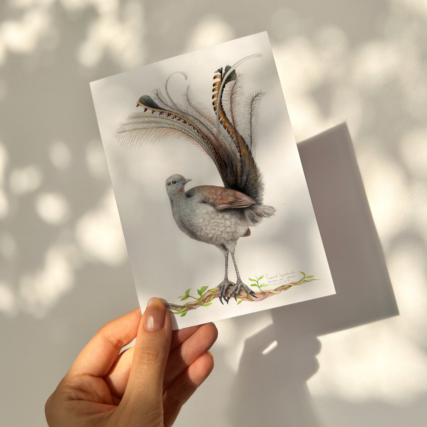 Lyrebird Card