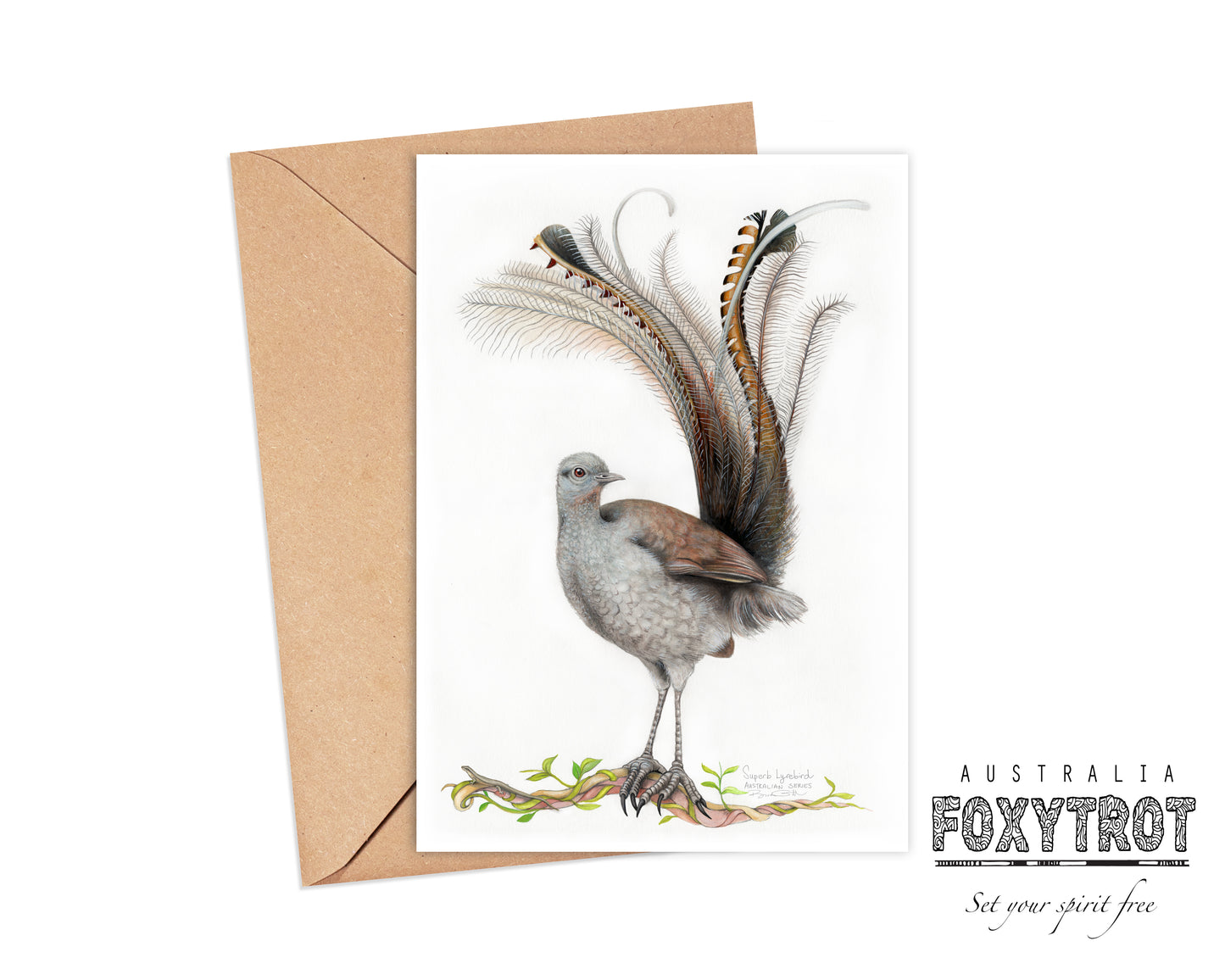 Lyrebird Card