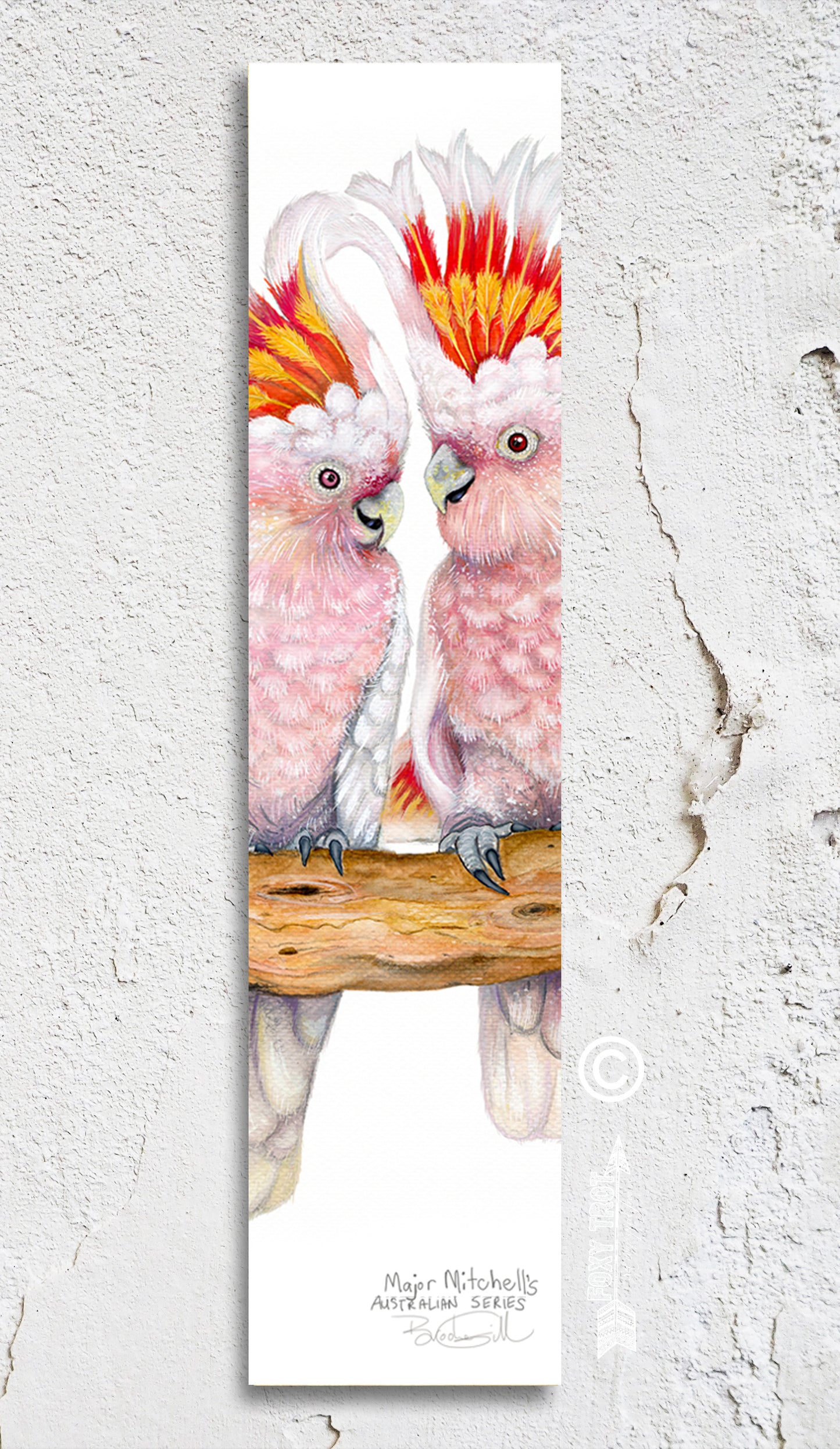 Major Mitchells Bookmark
