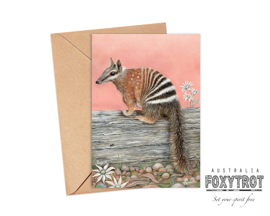 Narloo the Numbat Card