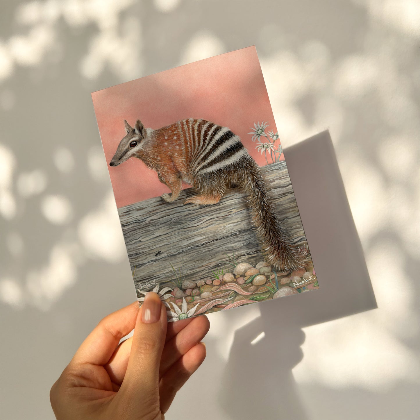 Narloo the Numbat Card