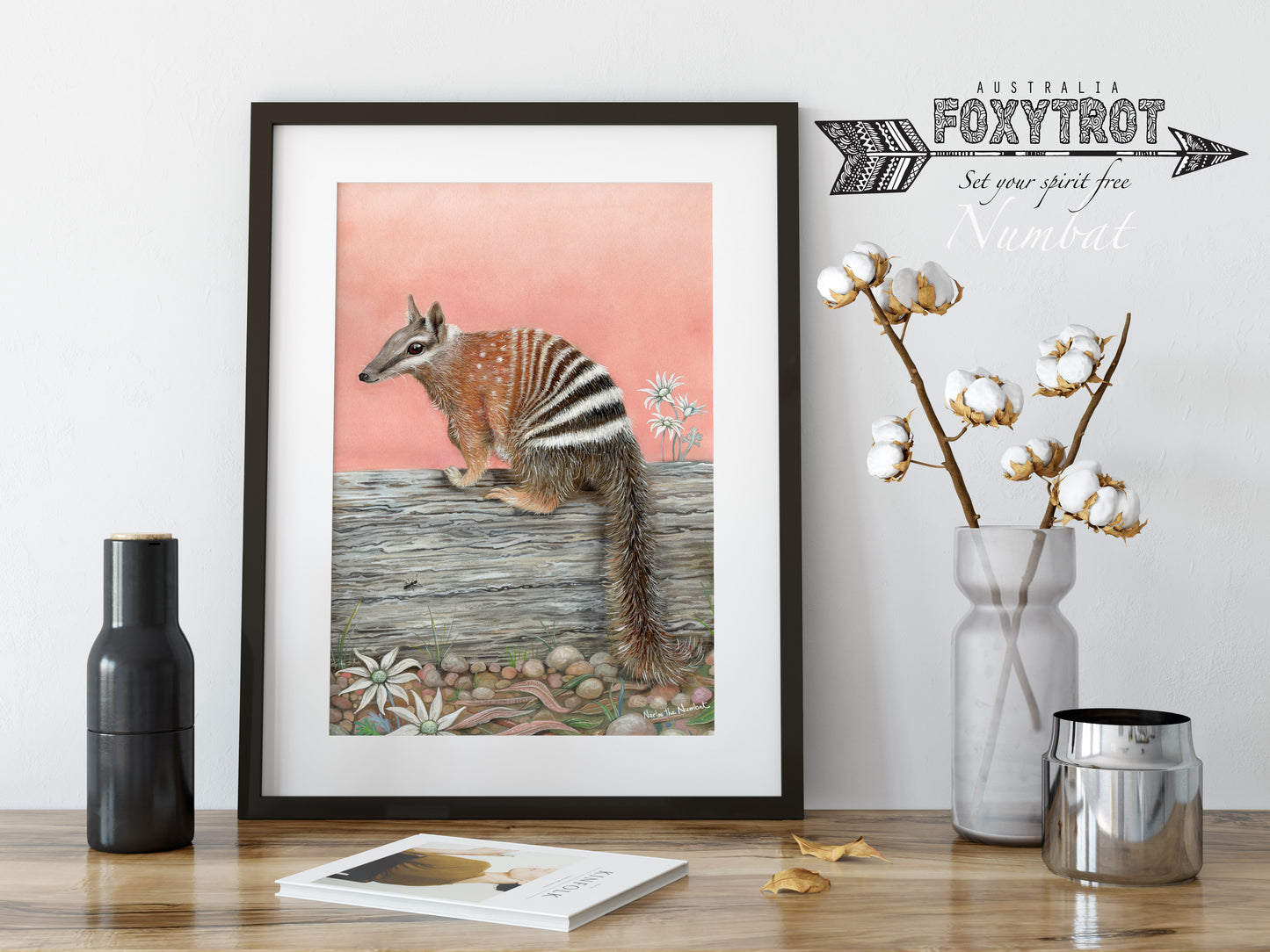 Narloo the Numbat