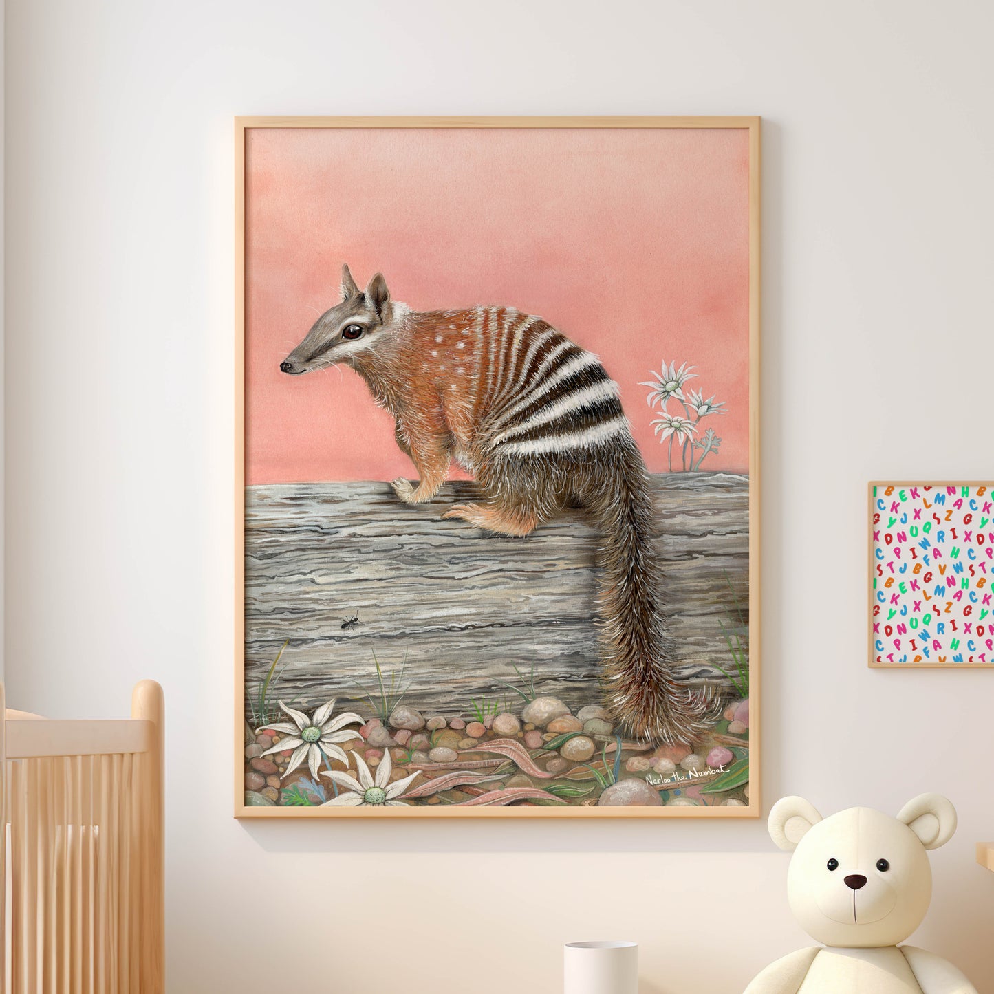 Narloo the Numbat