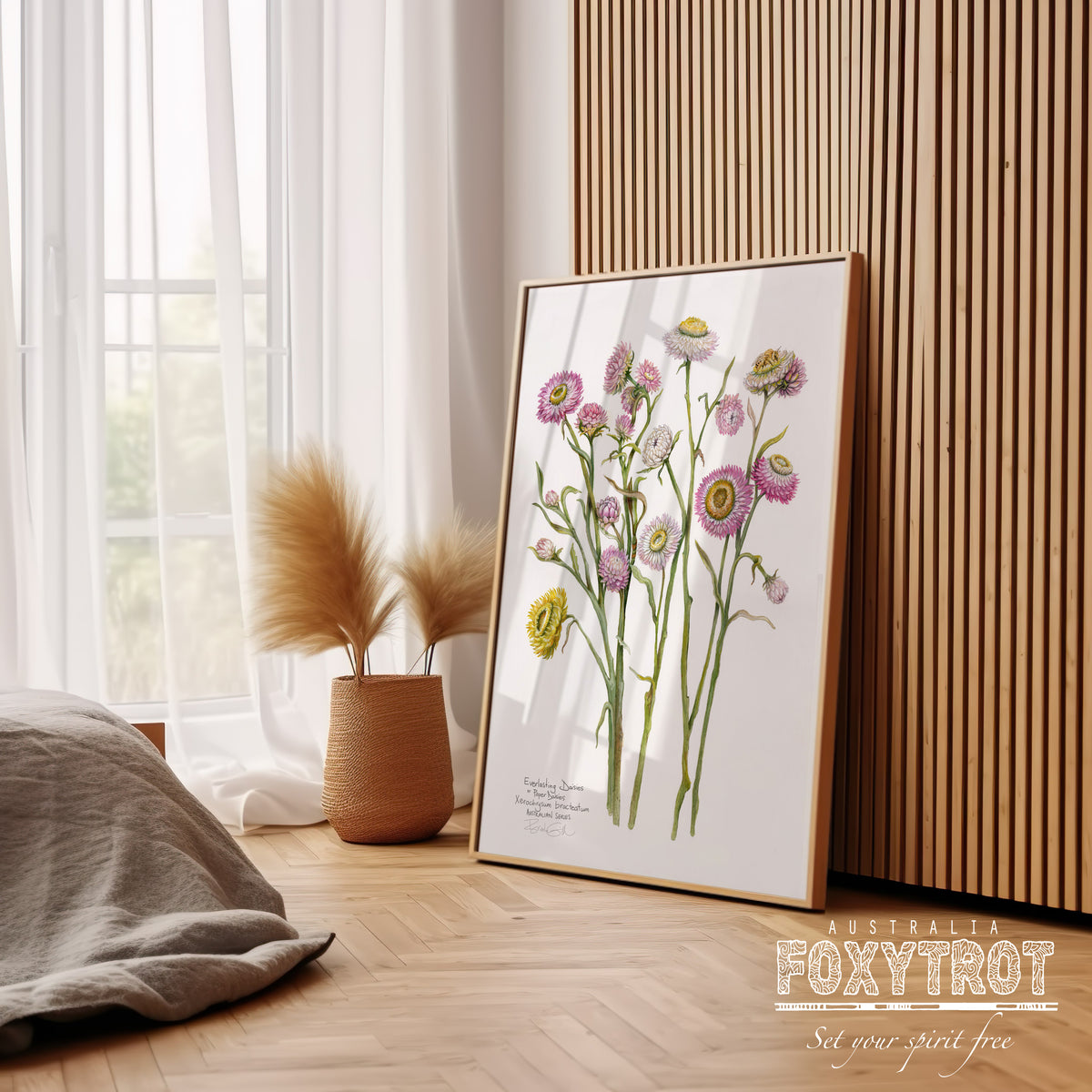 Paper Daisies