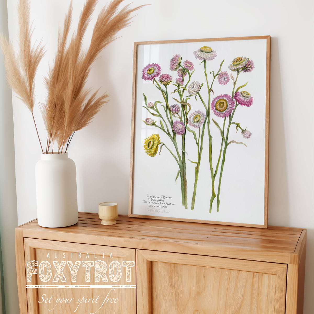 Paper Daisies