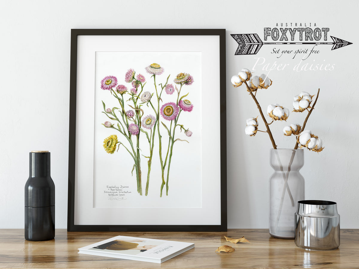 Paper Daisies