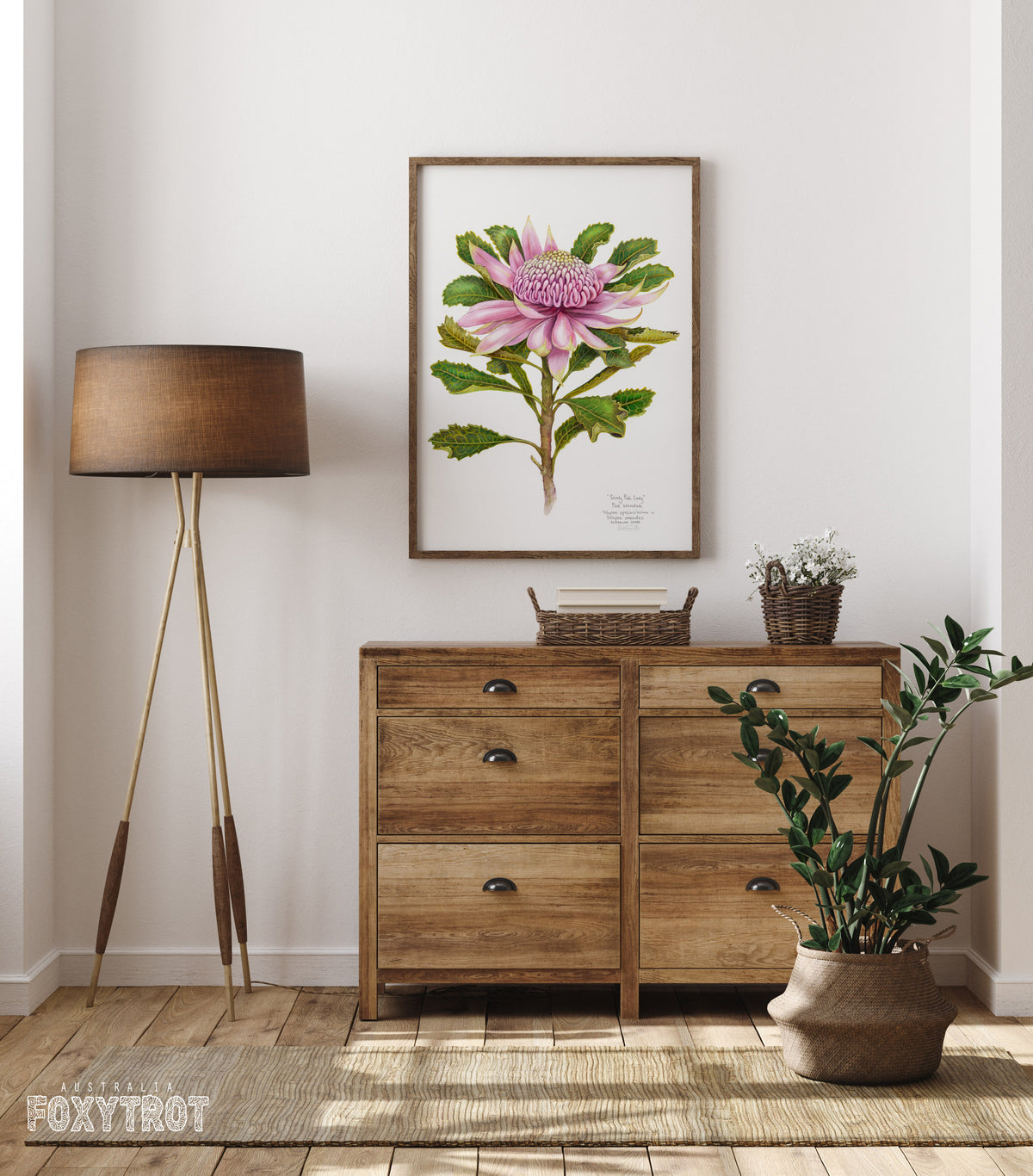 Pink Waratah