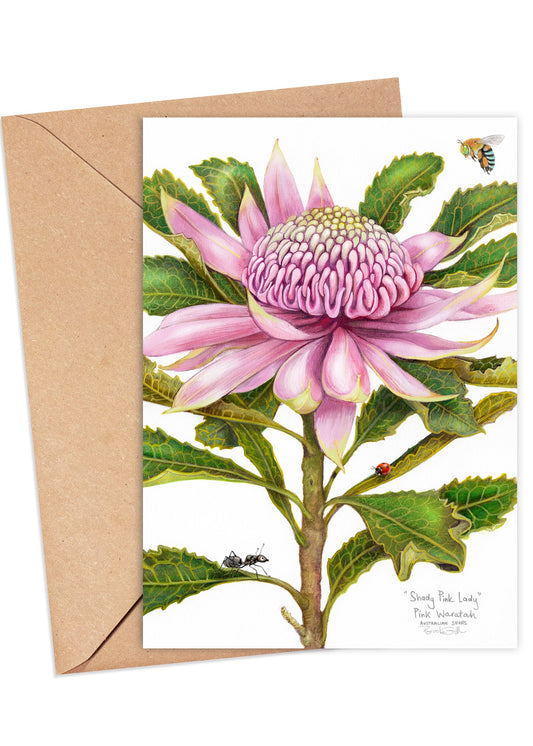 Pink Waratah Card