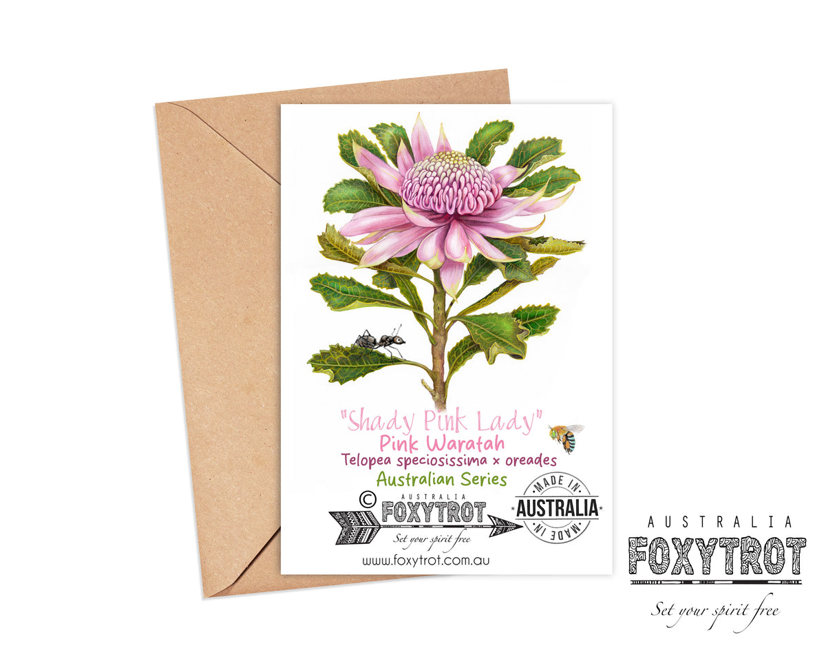 Pink Waratah Card