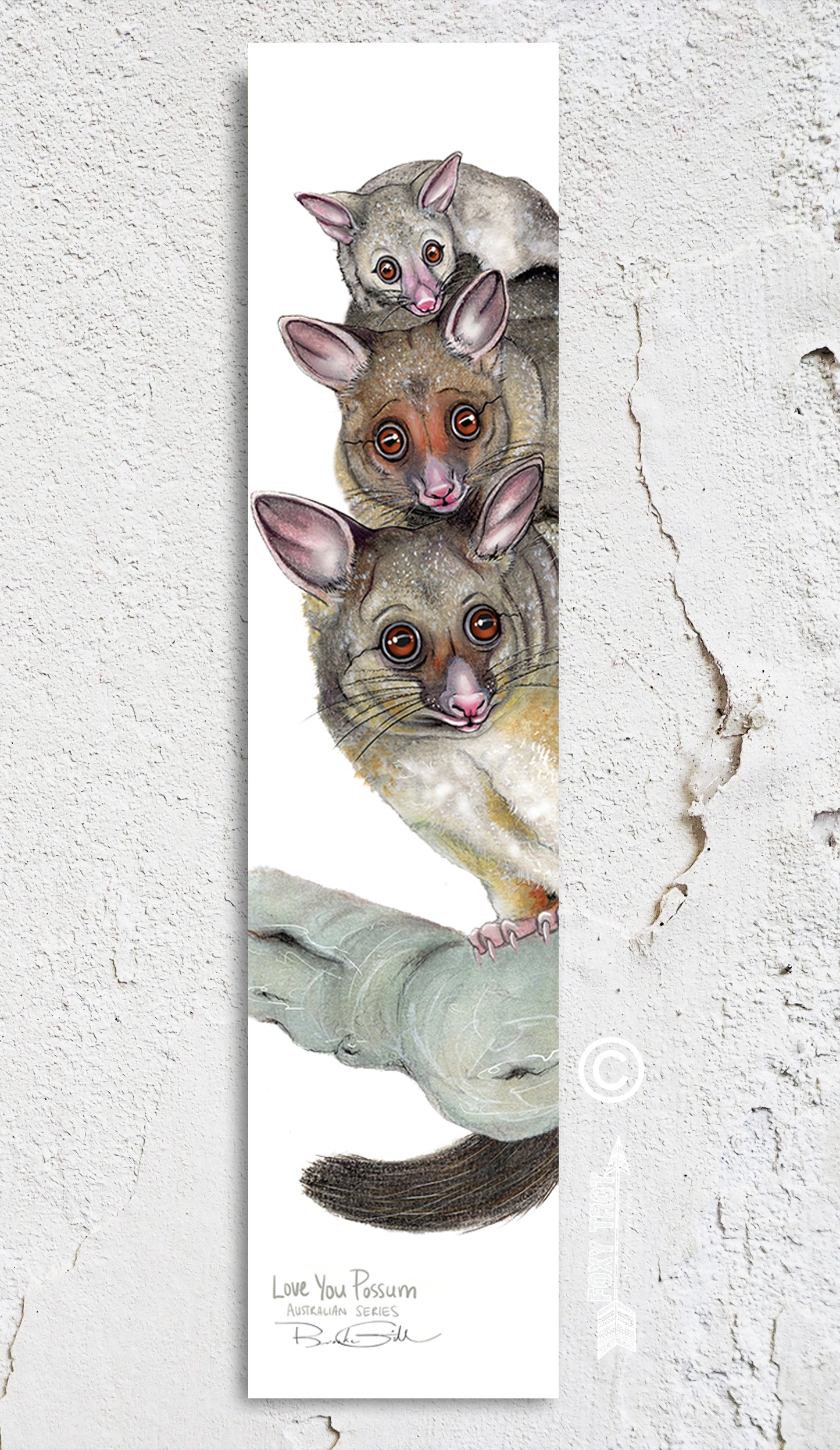 Brush Tailed Possums Bookmark