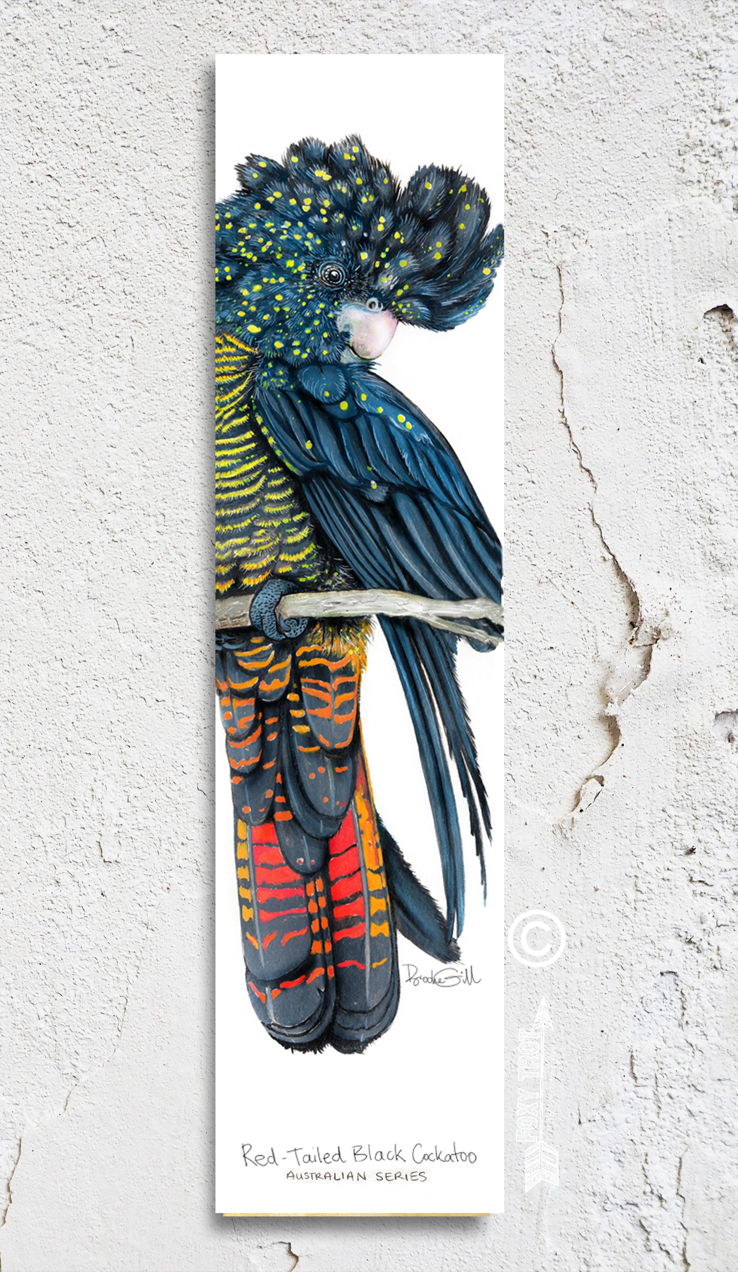 Red Tailed Black Cockatoo Bookmark