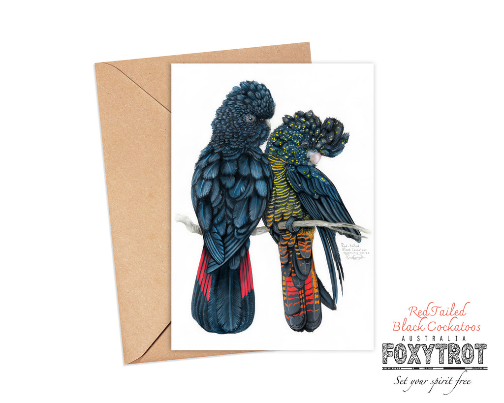 Red Tailed Black Cockatoos Card
