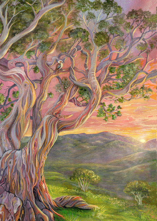 Snow Gum Sunset Card