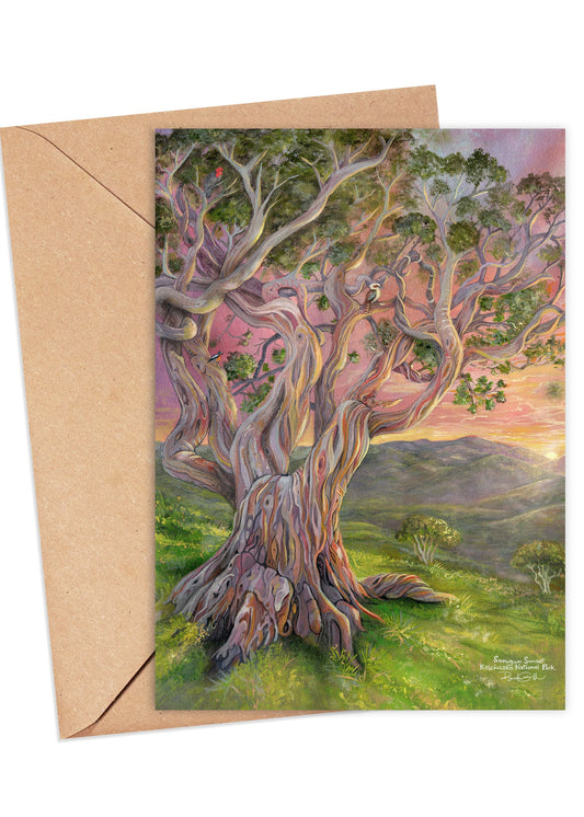 Snow Gum Sunset Card
