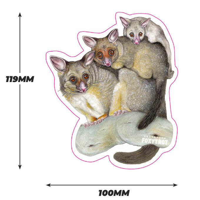 Brush Tailed Possums Vinyl Sticker
