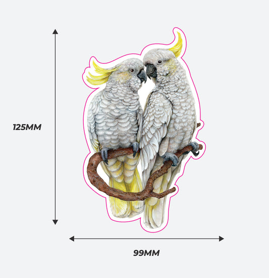 Sulphur Crested Cockatoos Vinyl Sticker