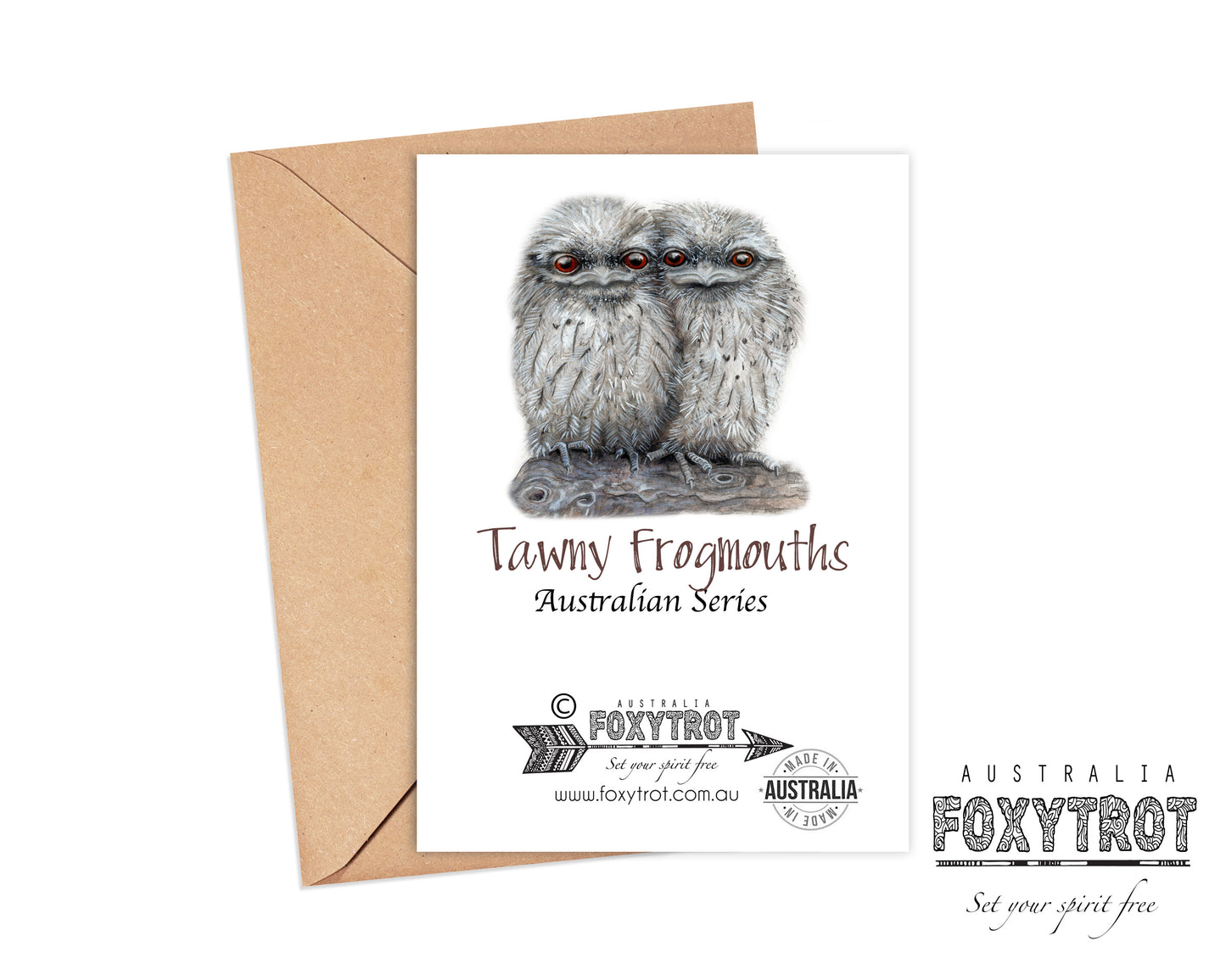 Tawny Frogmouth Card