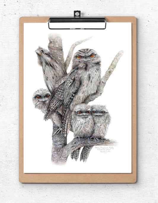 Tawny Frogmouth
