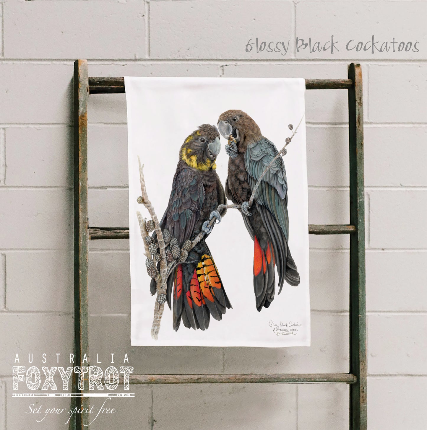 Glossy Black Cockatoos Tea Towel