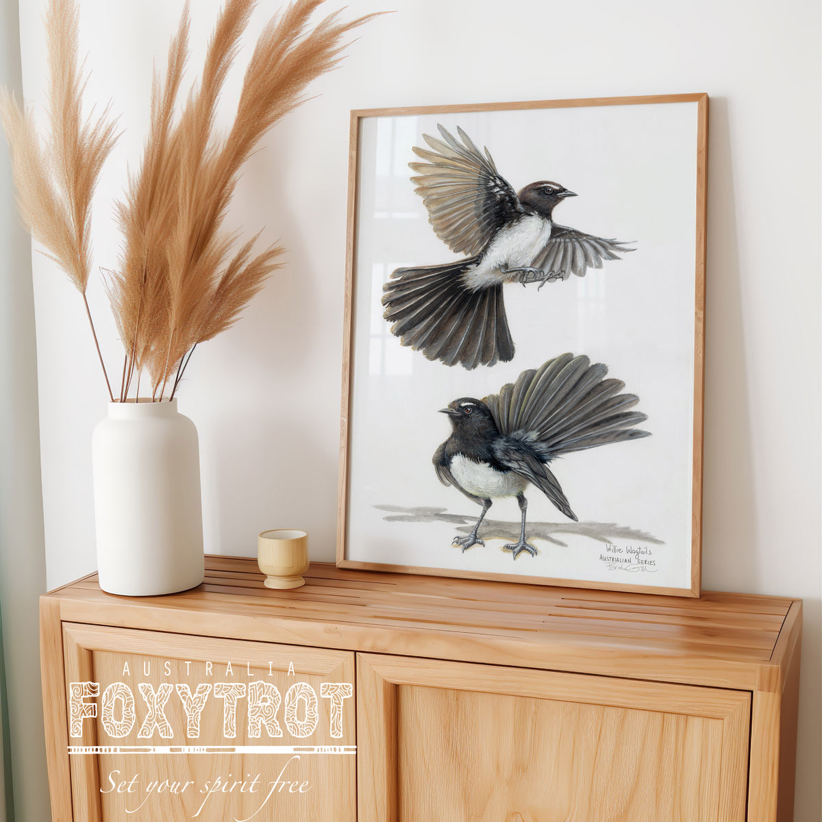 Willie Wagtails